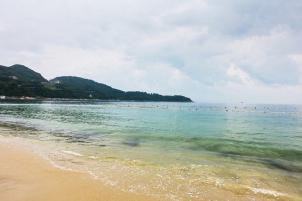 Dampak Positif dari Aksi Kolektif Mereka (1)