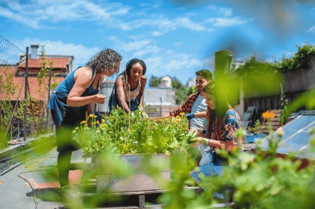 Menghidupkan Interaksi Sosial Lewat Berkebun (1)