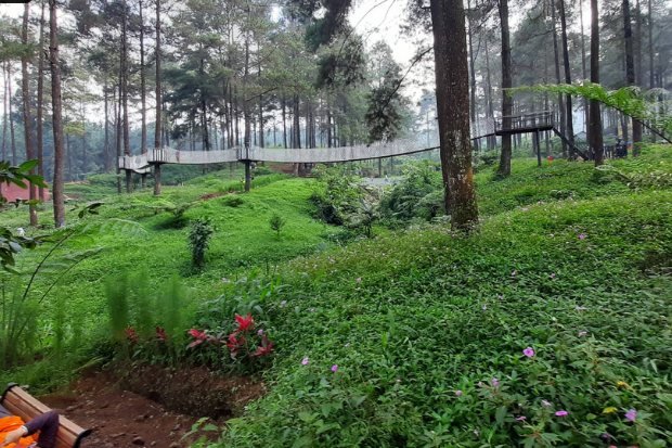 Alamnya masih alami (1)