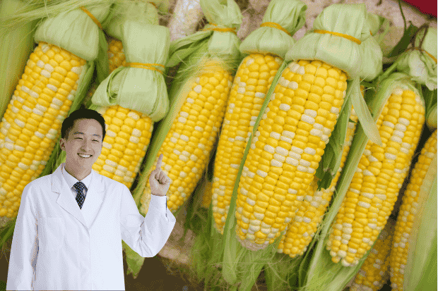 Kandungan Gizi dalam Jagung Manis