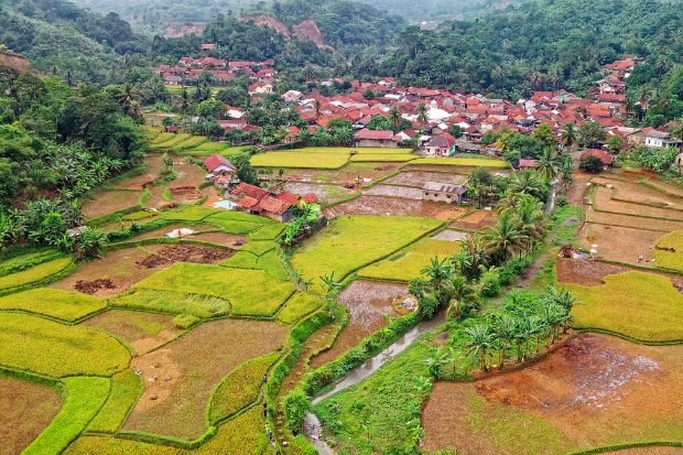 Mempererat cinta kampung (1)