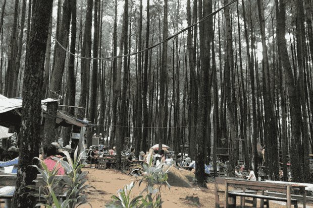 Tempat liburan yang ramah untuk semua