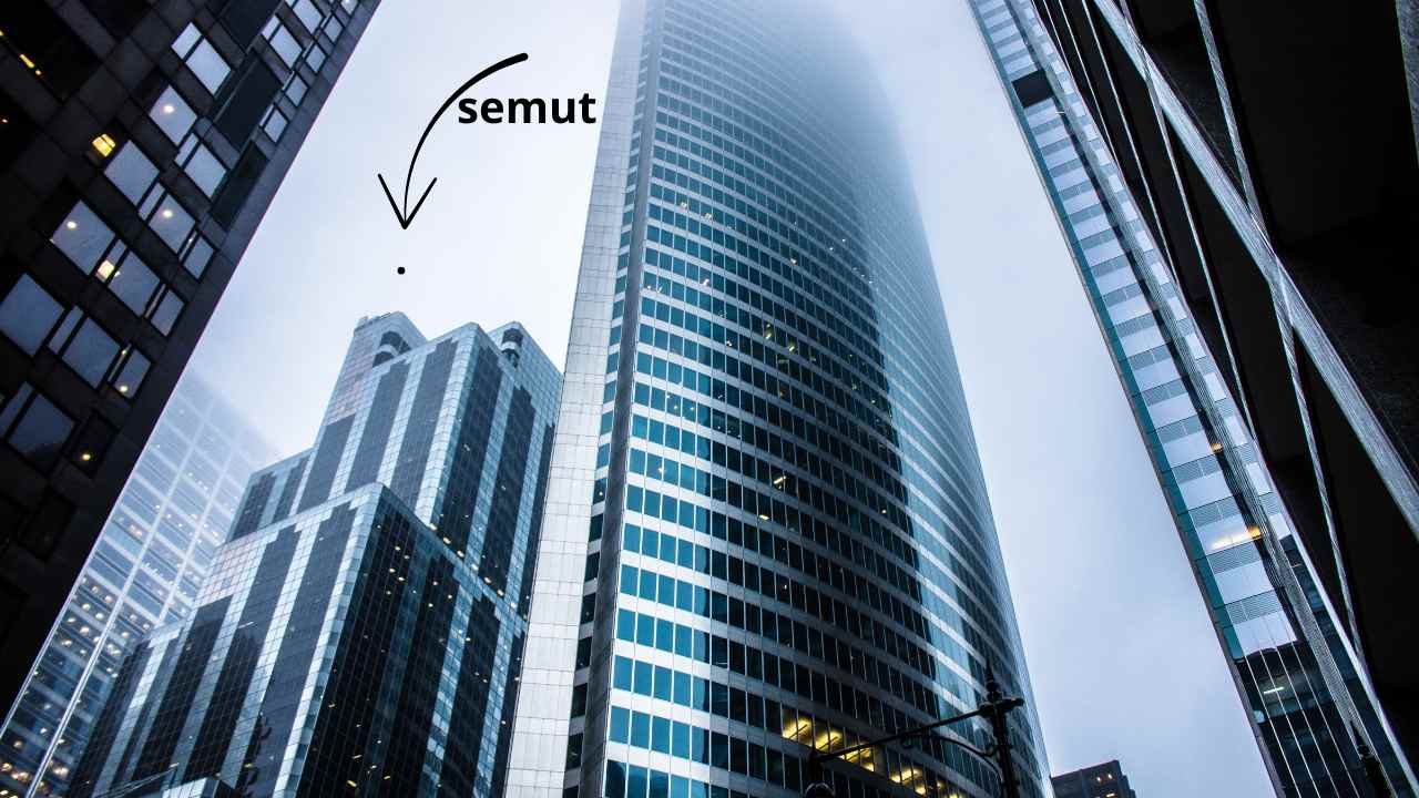 Semut yang Dijatuhkan dari Gedung Apakah Akan Mati