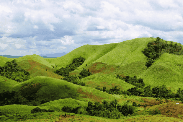 Suasana Pagi yang Menyegarkan