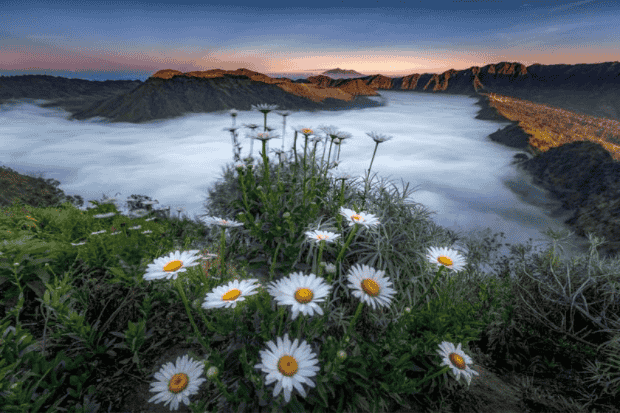 Kenapa Tempat Ini Layak Kamu Kunjungi