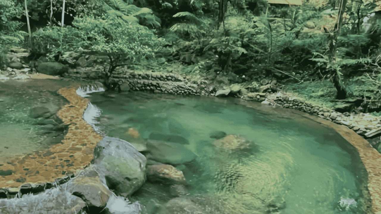 Lembah Tepus Destinasi Alam yang Bikin Kamu Betah Menjelajah