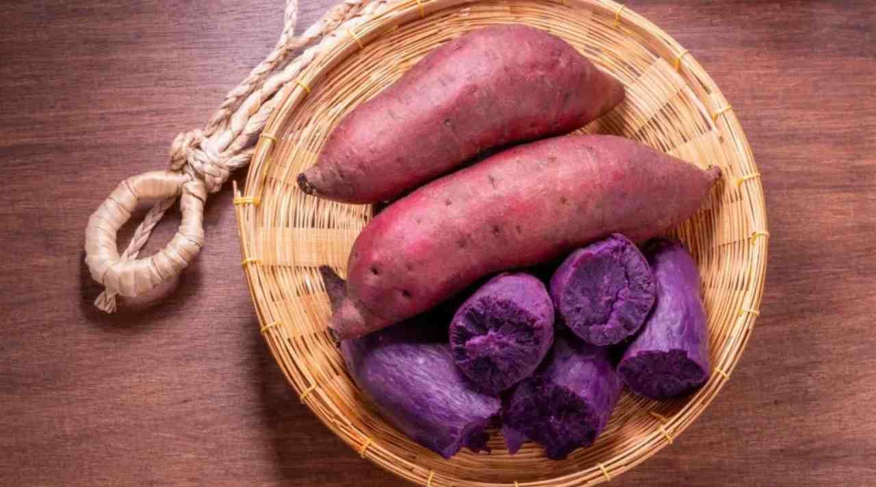 Ubi Ungu, Si Ungu Lezat yang Kaya Manfaat dan Serbaguna