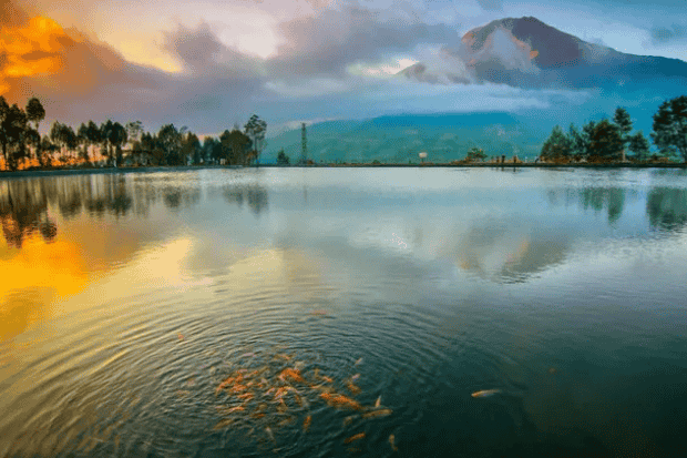 Waktu Terbaik untuk Datang