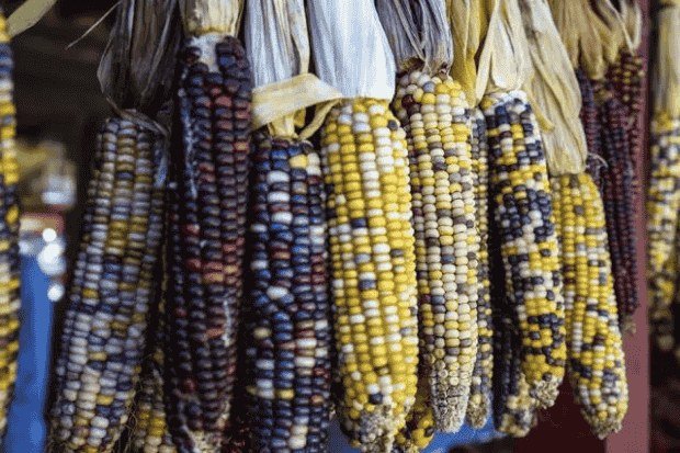 Ciri Fisik yang Beda