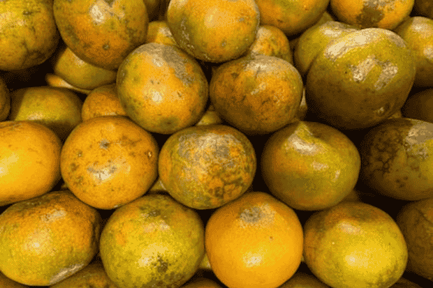 Nilai Sosial dan Ekonomi bagi Masyarakat