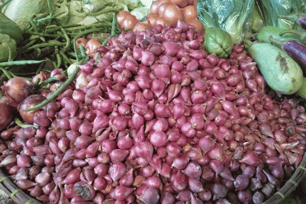 Peran Ekonomi dan Budaya Lokal