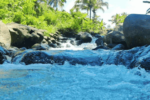 Aktivitas Seru yang Bisa Kamu Lakukan Cireong