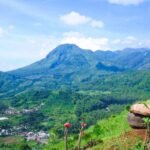 Bukit Paralayang Batu Malang Tempat Santai Menikmati Kota dari Ketinggian