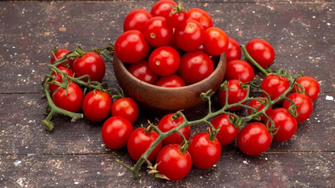 Tomat Ceri Si Kecil Manis yang Kaya Manfaat untuk Kamu