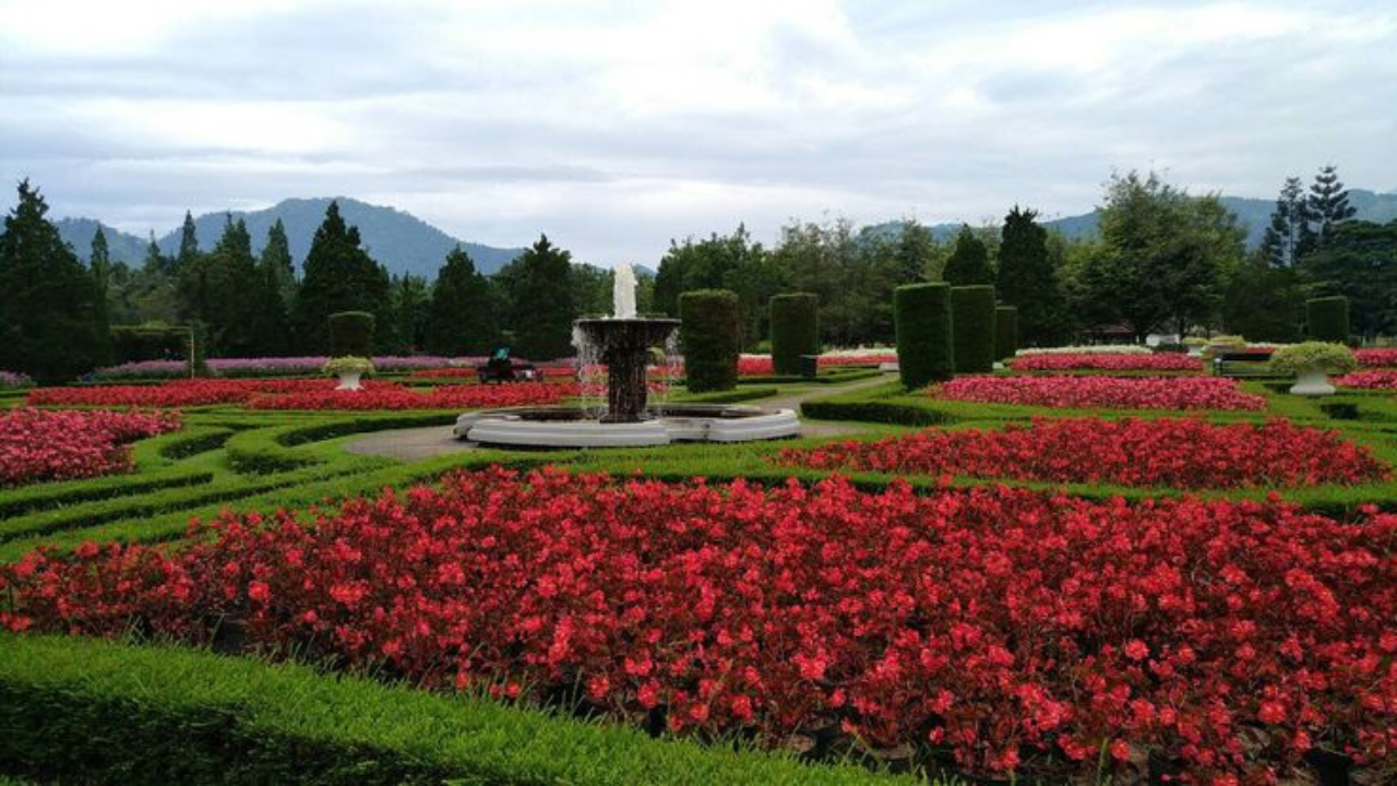 Bunga Indah di Taman Indonesia yang Menarik Wisatawan