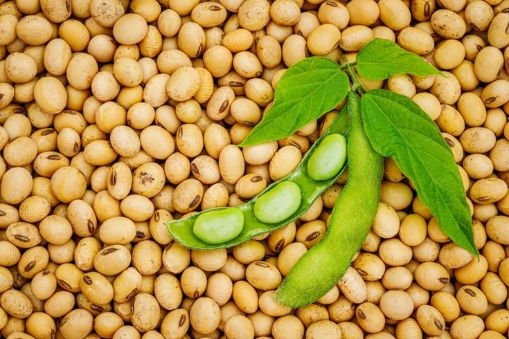 Kedelai Banyak Digunakan untuk Bahan Makanan