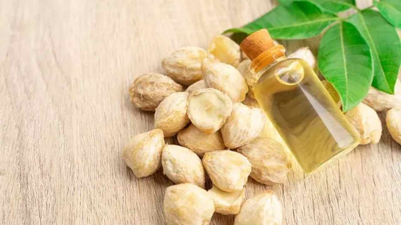 manfaat minyak kemiri untuk perawatan rambut alami