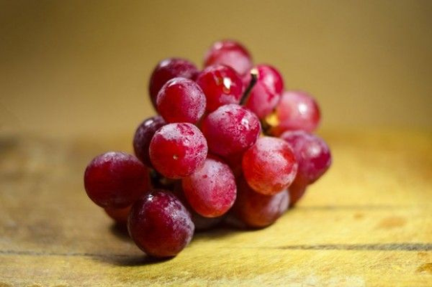 Buah Anggur Mengandung Beragam Nutrisi