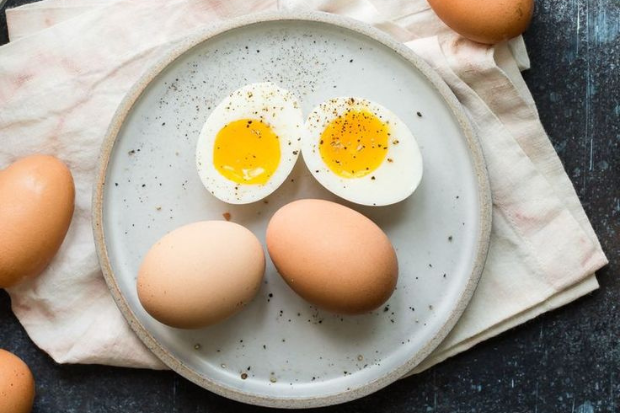 Kandungan Nutrisi dalam Telur