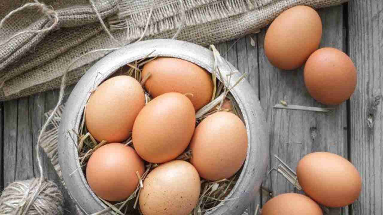 Telur Rebus, Menu Sederhana dengan Banyak Manfaat