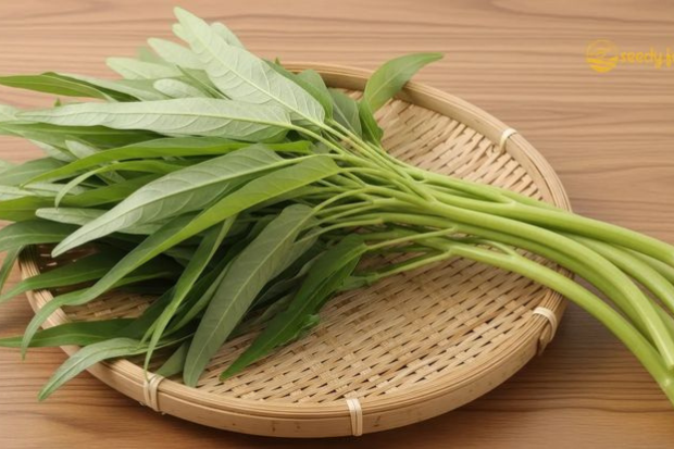 Tips Memilih Kangkung yang Berkualitas