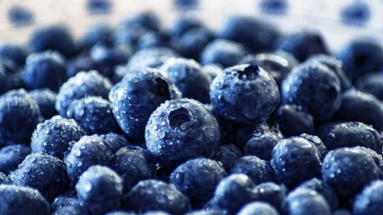Buah Blueberry Si Kecil dengan Segudang Manfaat