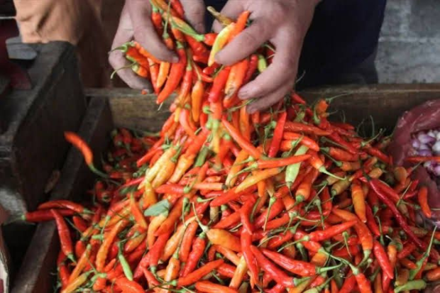 Cabe Rawit Membuat Masakan Lebih Nikmat