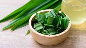 Daun Pandan dan Aroma Harum yang Khas