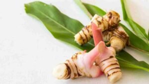 Lengkuas Bumbu Dapur yang Bikin Masakan Makin Sedap