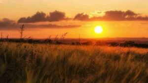 Matahari Terbenam yang Selalu Memikat Saat Senja