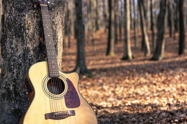 Bagian Gitar Memiliki Fungsi Masing-Masing