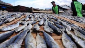 Ikan Asin Jadi Lauk Sederhana yang Selalu Dicari