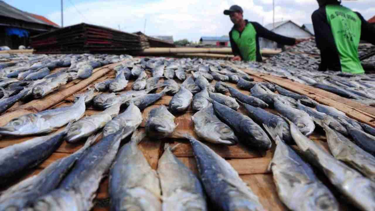 Ikan Asin Jadi Lauk Sederhana yang Selalu Dicari